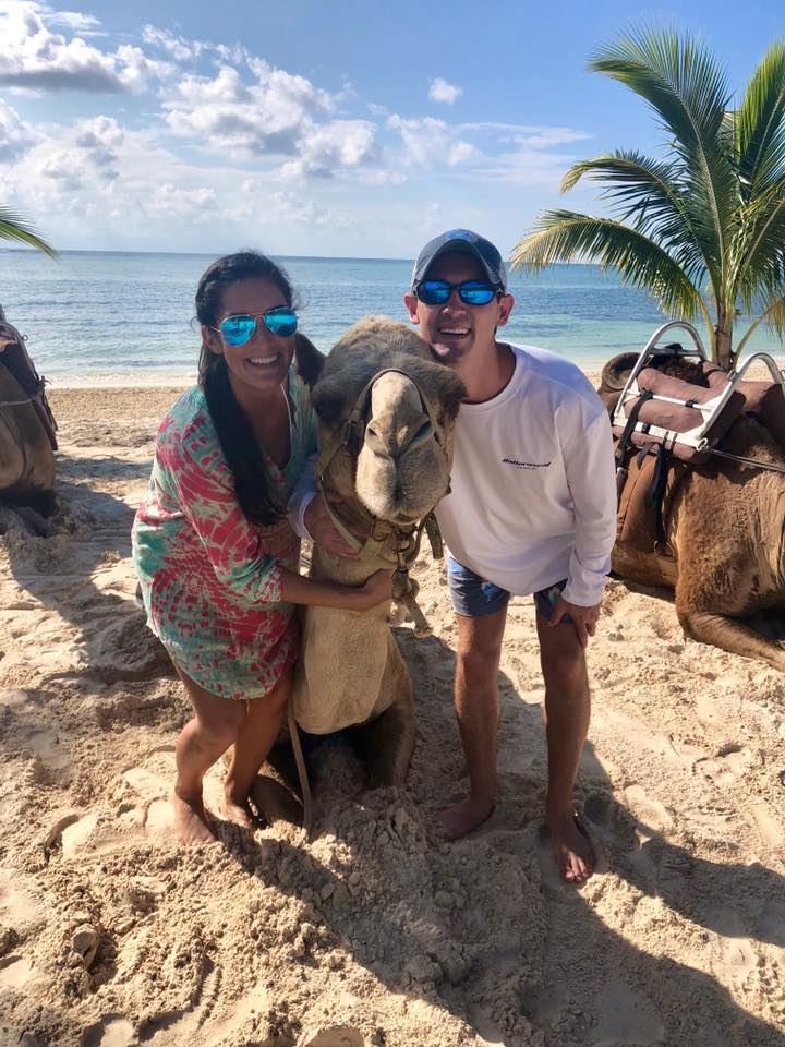 Camel on the beach