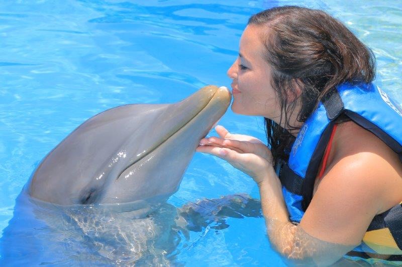 Dolfin